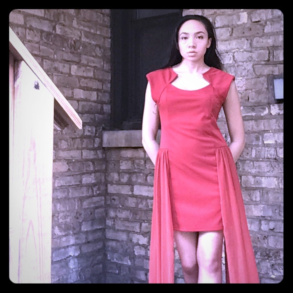 Rust Cocktail Dress - Picture 5 of 10